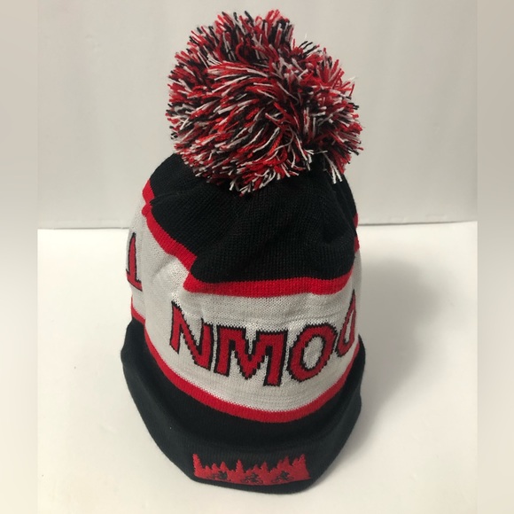 NEW Stranger Things Fleece Lined Beanie “The Upside Down” Mind Flayer Limited Ed - Picture 3 of 6
